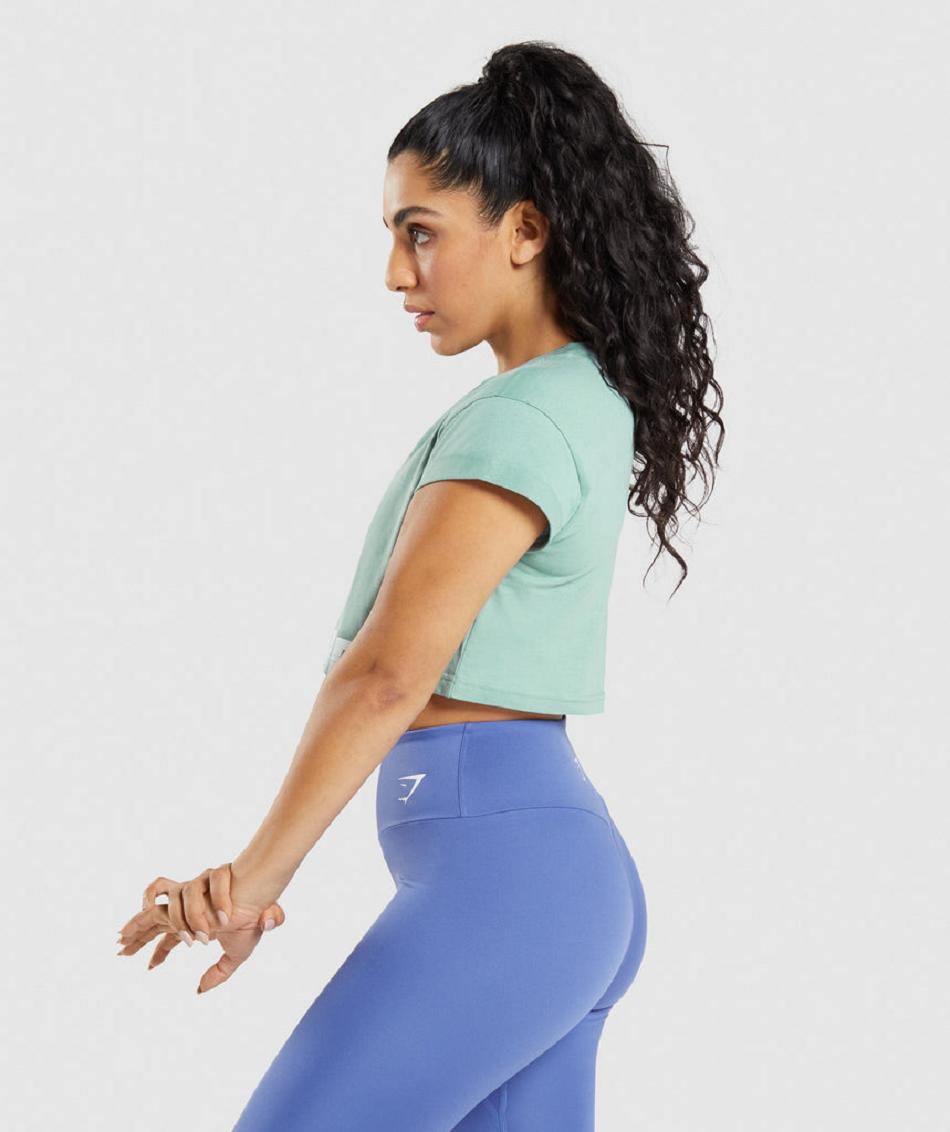 Corp Tops Gymshark Fraction Mujer Azules | CO 2549HAP